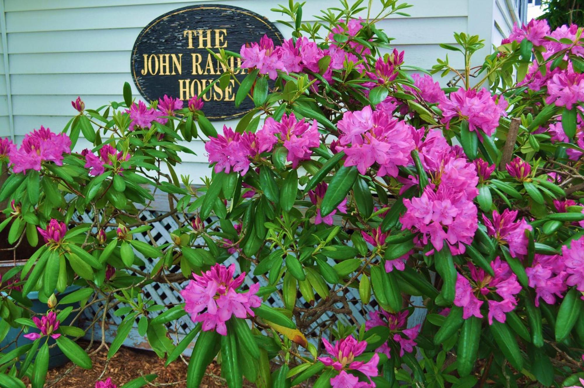 The John Randall House Provincetown Exteriör bild
